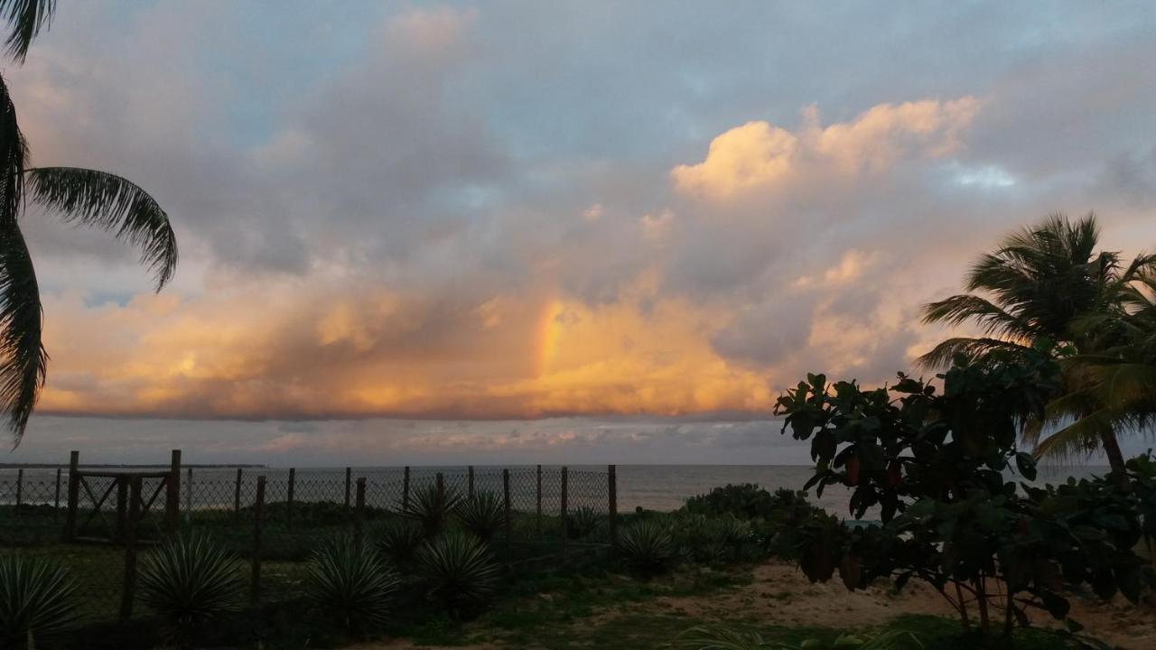Bungalow Frente A Praia Itacimirim Dış mekan fotoğraf